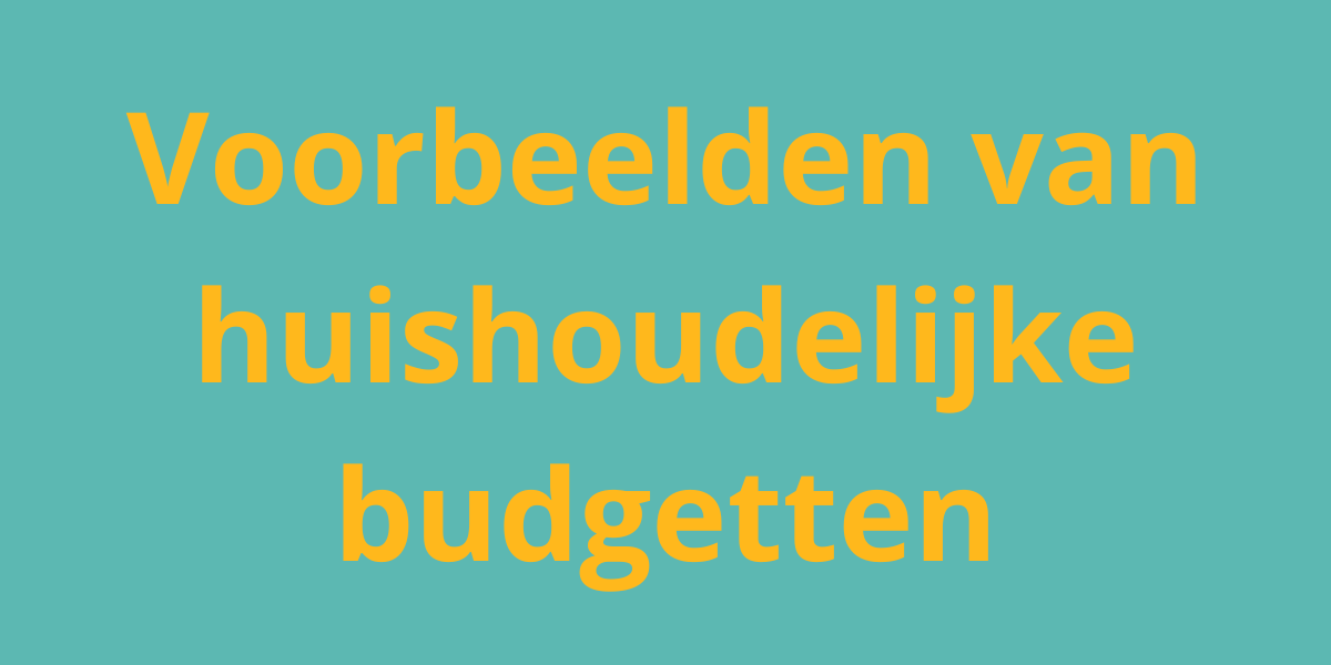 Voorbeelden van huishoudelijke budgetten
